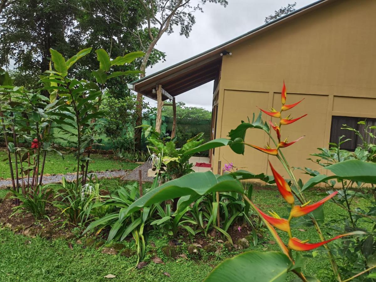 Greenhouse Loft Miravalles Aguas Claras  Esterno foto