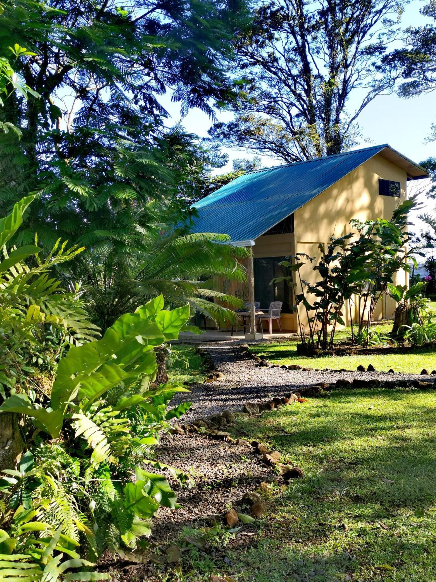 Greenhouse Loft Miravalles Aguas Claras  Esterno foto