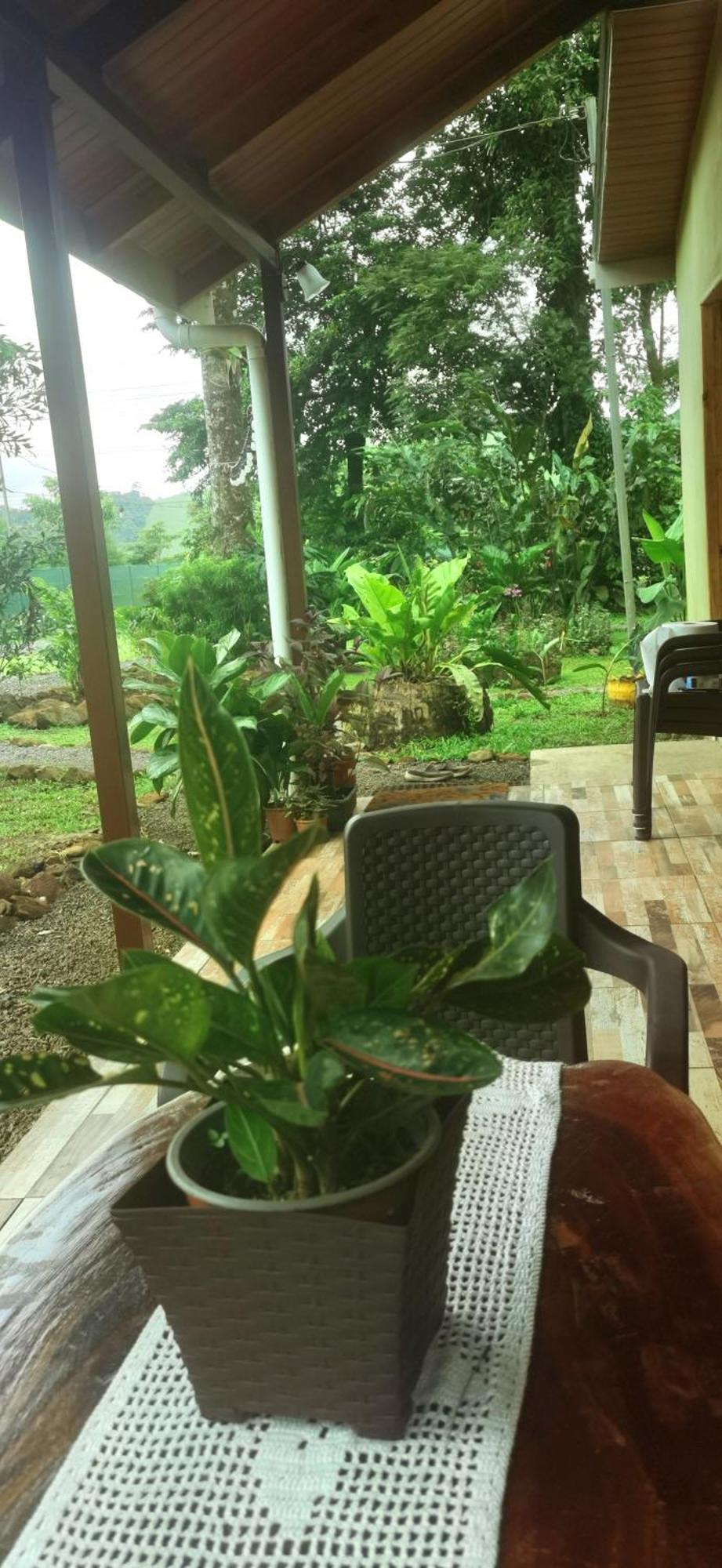 Greenhouse Loft Miravalles Aguas Claras  Esterno foto