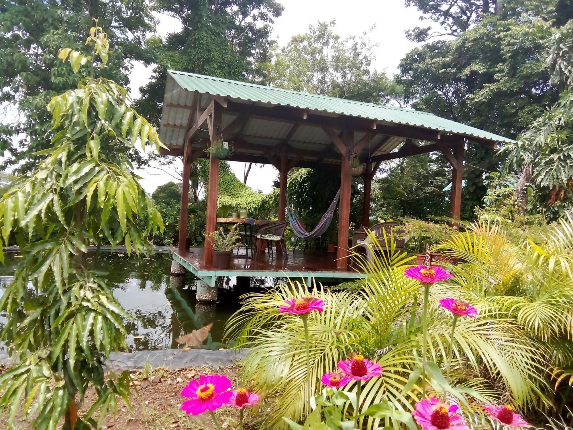 Greenhouse Loft Miravalles Aguas Claras  Esterno foto